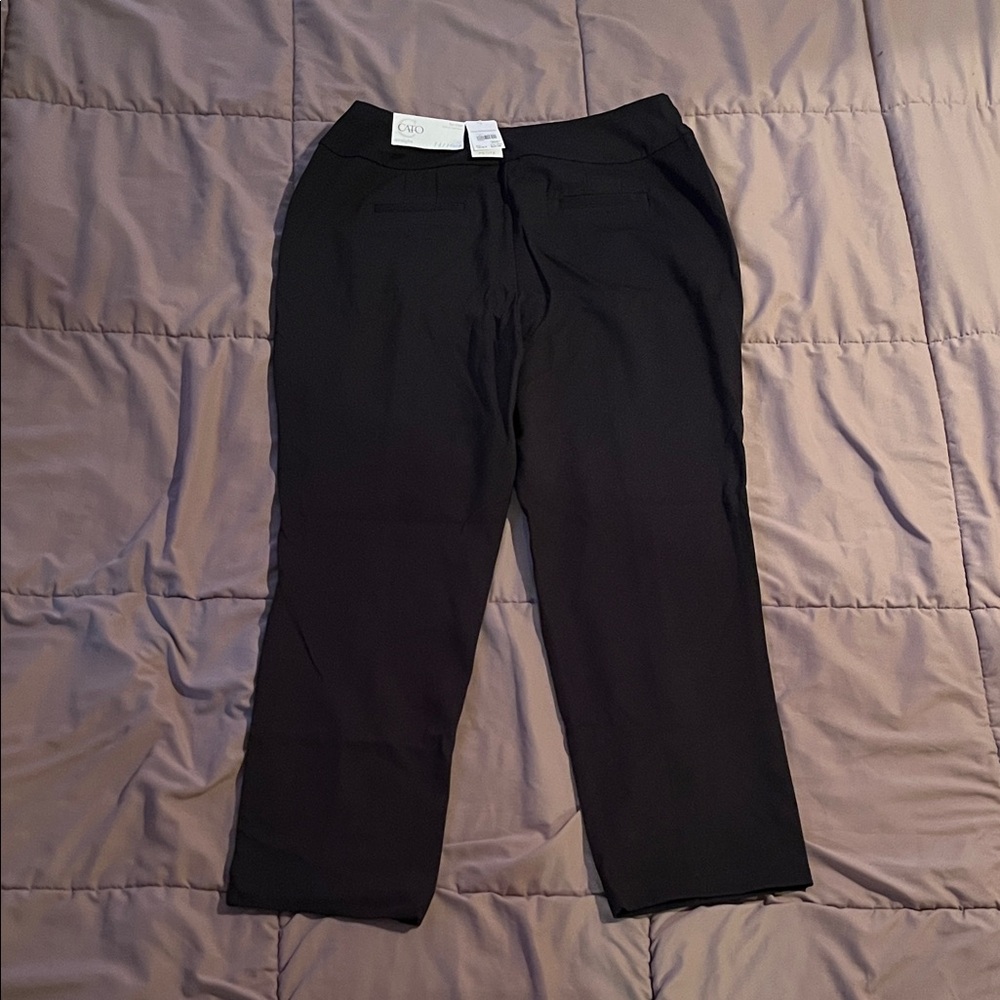 Cato Women's Black Straight Leg Pants